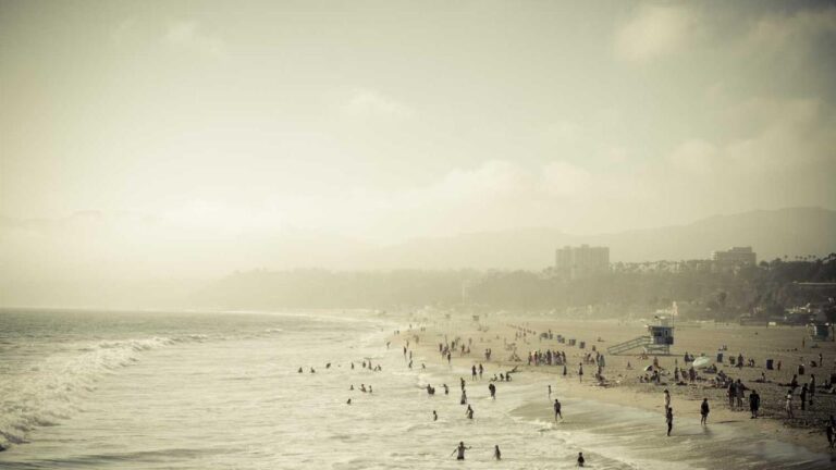 How Do I Raise A Ticket With 99Exch Complaint Support?